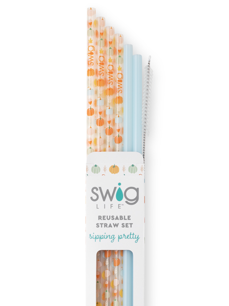 Swig Reusable Straw Set - Pumpkin Spice + Light Blue