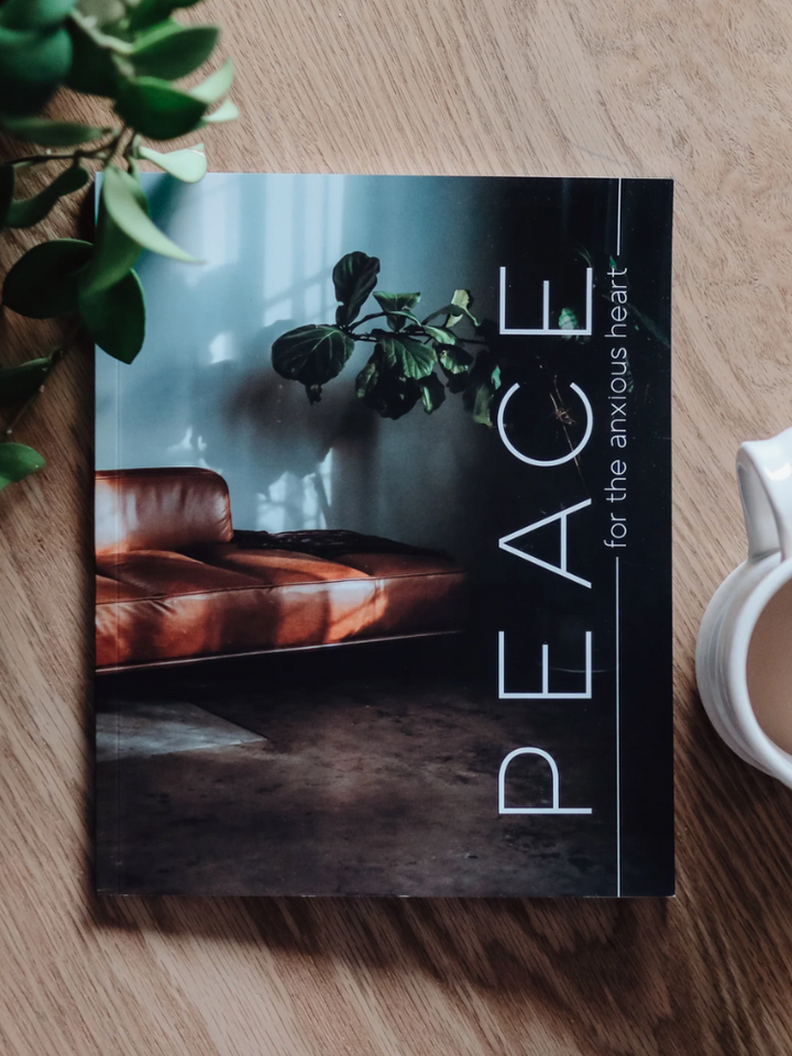 The Daily Grace Mens Bible Study - Peace For The Anxious Heart