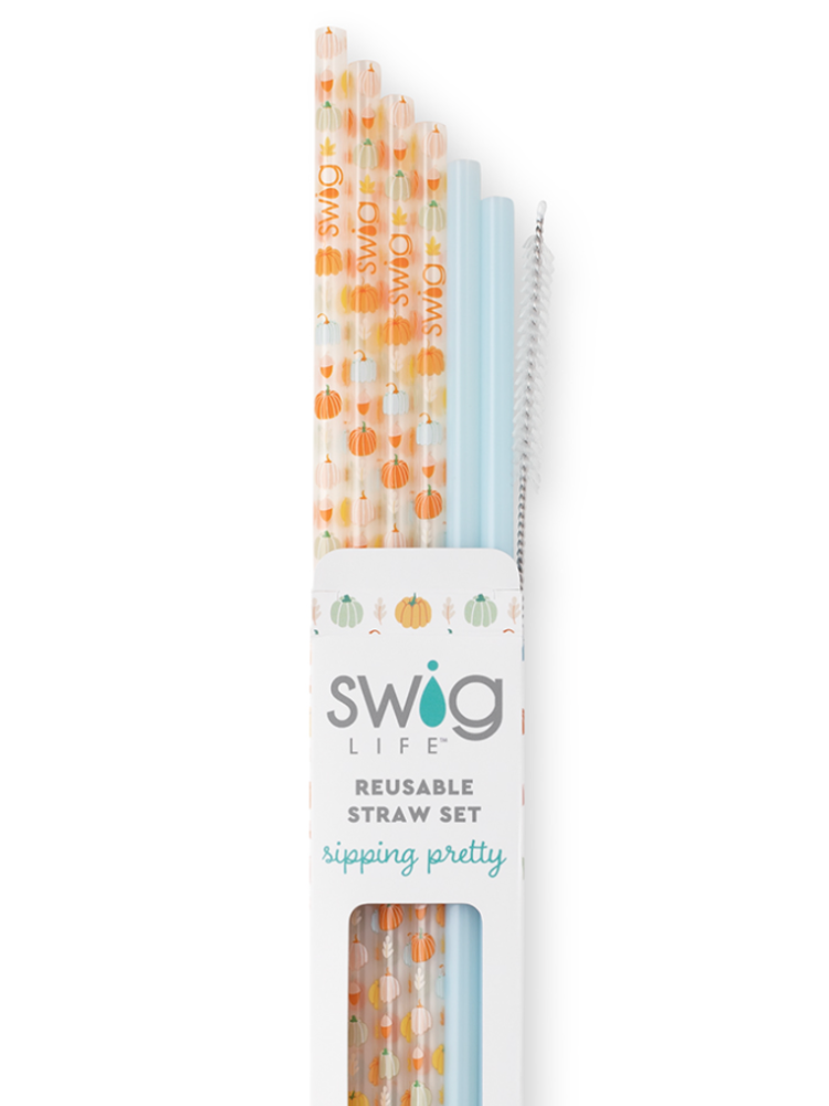 Swig Reusable Straw Set - Pumpkin Spice & Light Blue