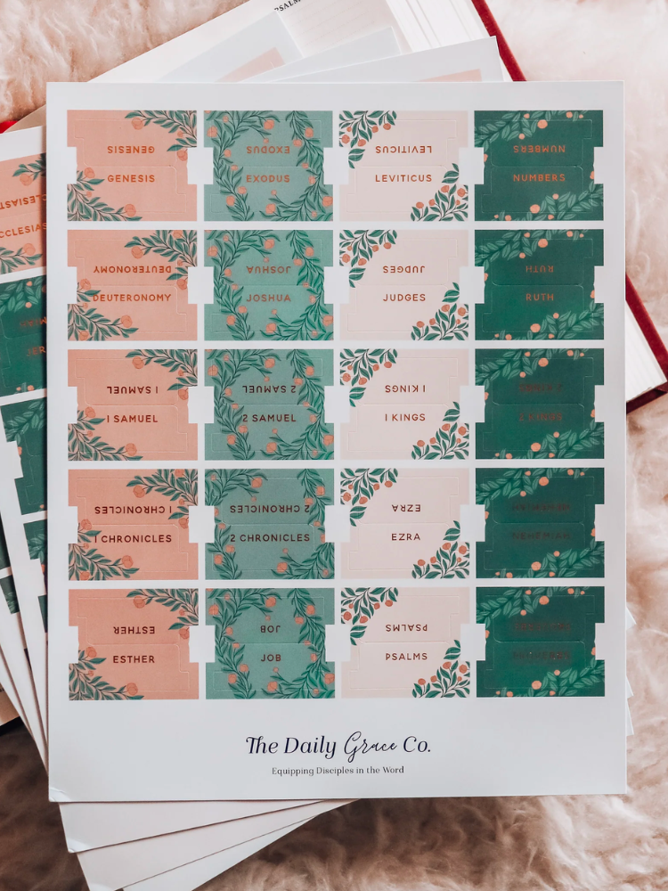 The Daily Grace Bible Tabs - Mint Floral