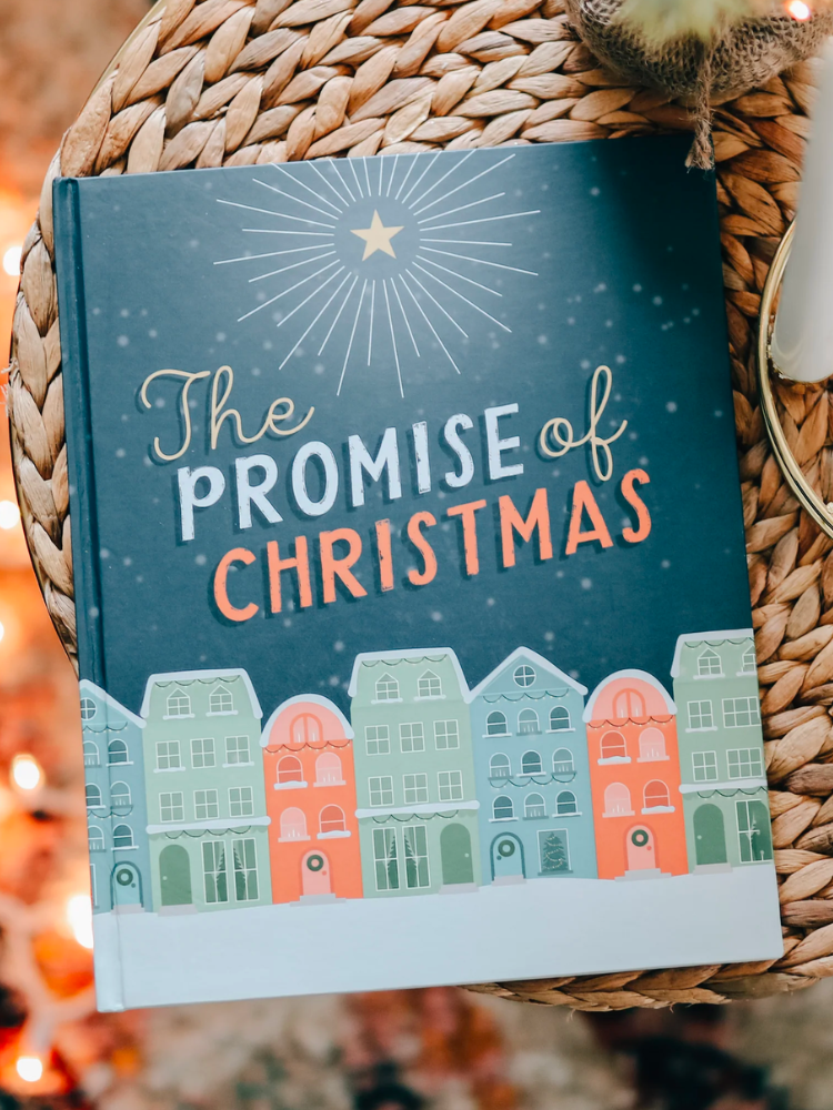 The Daily Grace - The Promise Of Christmas | Childrens Book