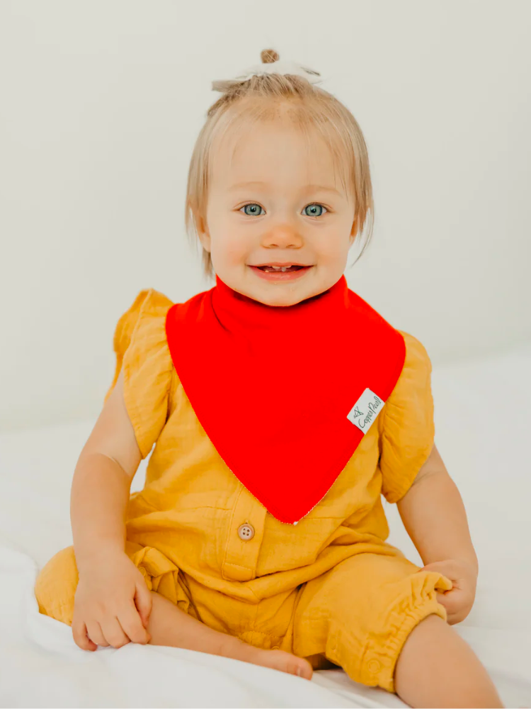 Copper Pearl Bandana Bib Set - Blueberry