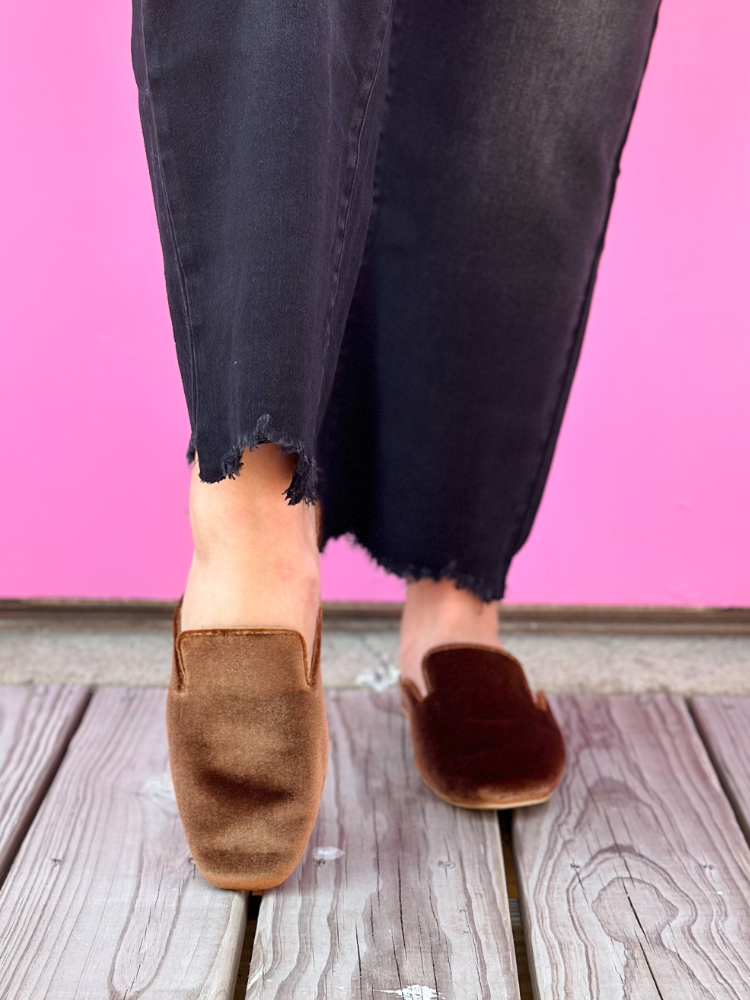 Spotlight Loafer - Cinnamon Velvet