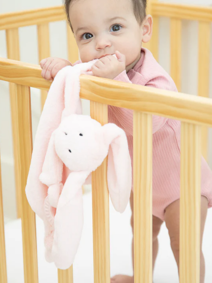 Bella Tunno Teether Buddy - Bunny