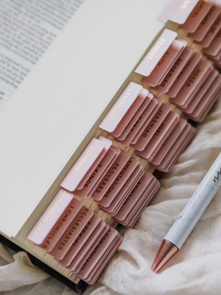 Blush Bible Tabs